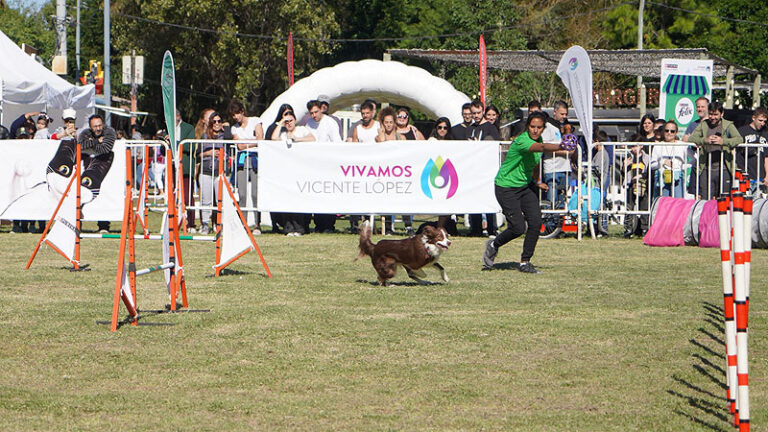 Día Del Animal En Vl (2)